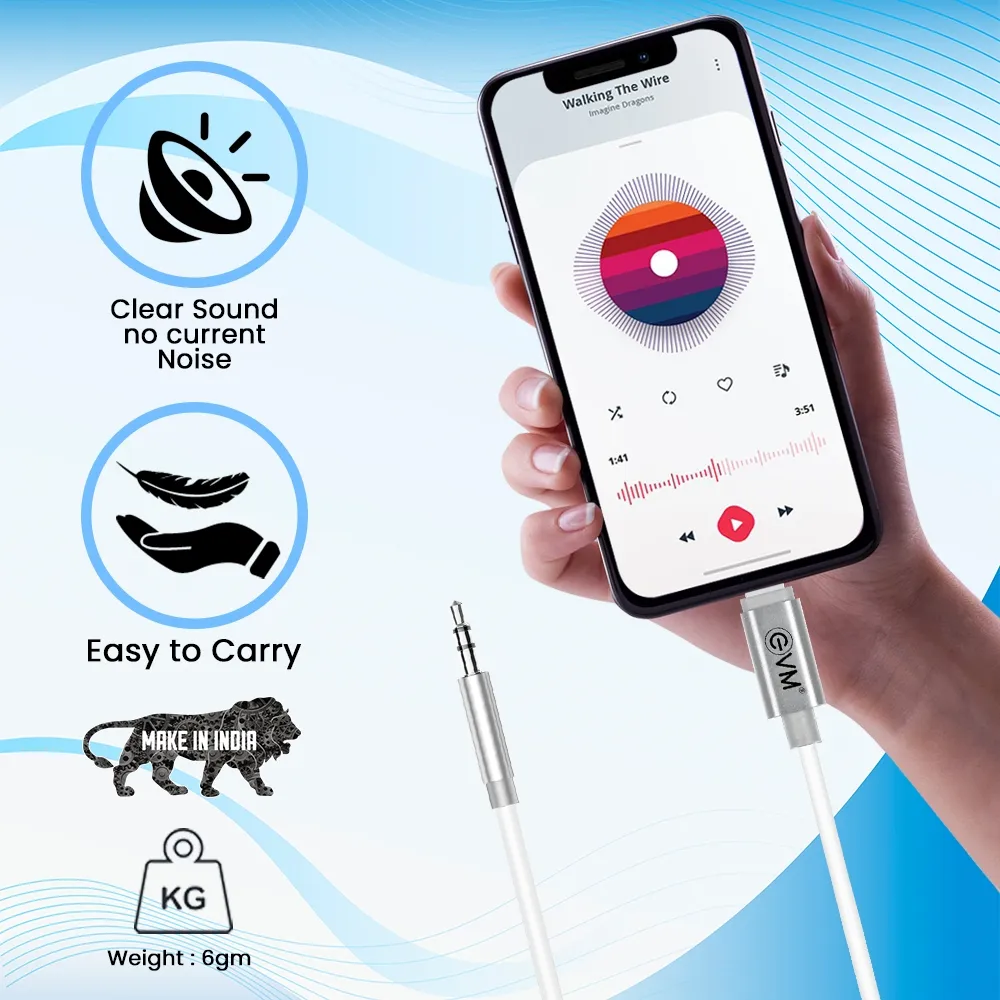 EVM iPhone Lightning to 3.5mm Aux Cable Silver view 2